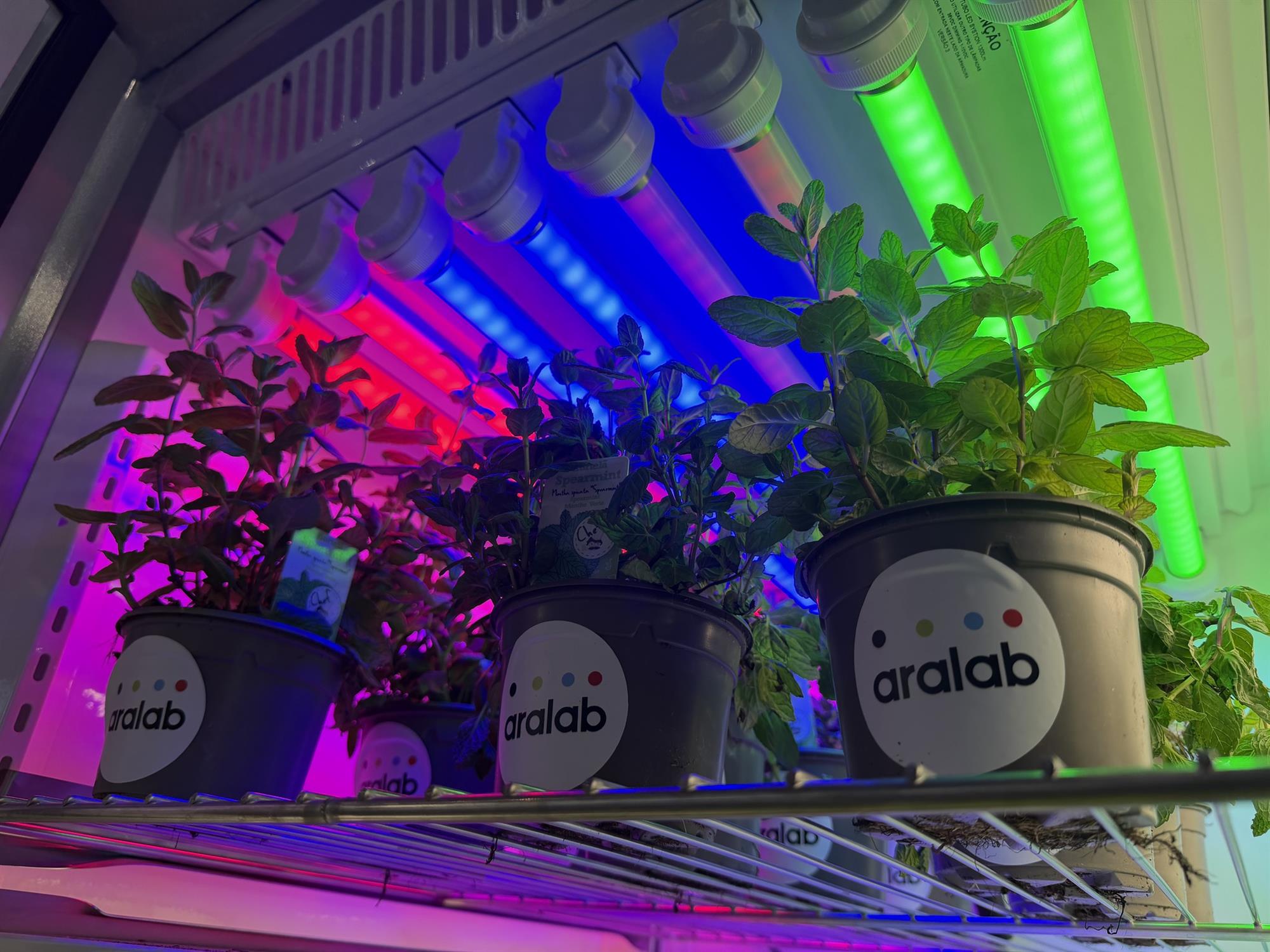 AgroTech Trends: The Impact of Adjustable Spectrum LED Lighting - Aralab FitoClima “Bio”