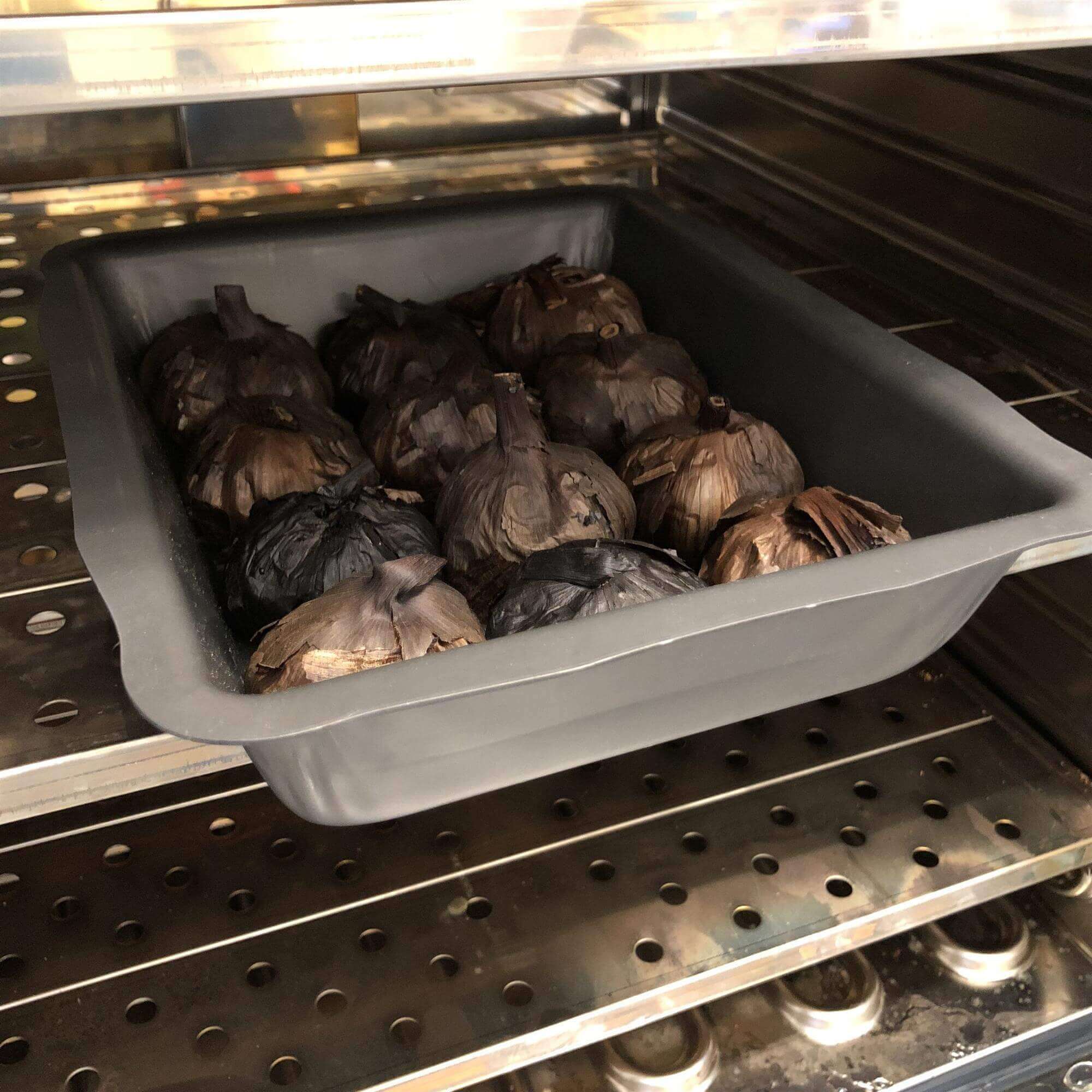 Studio Kitchen Makes Black Garlic with the Memmert HCP 153