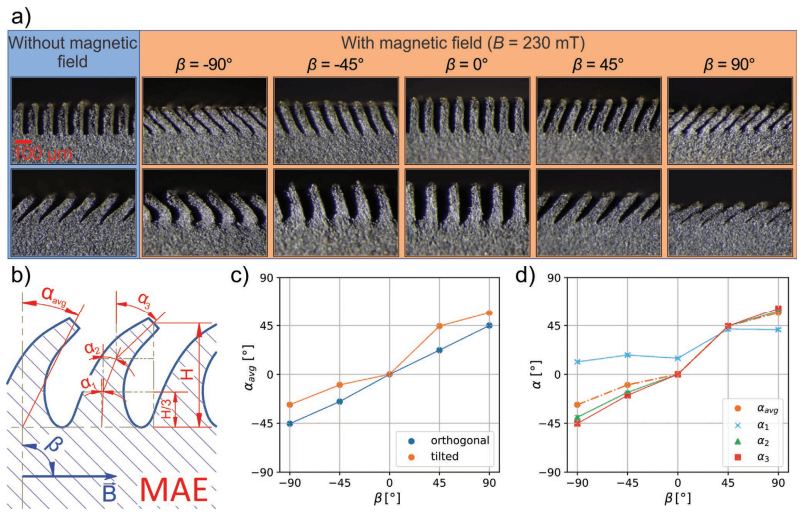 Fabricating magnetoresponsive lamellar surfaces Fabricating magnetoresponsive lamellar surfaces