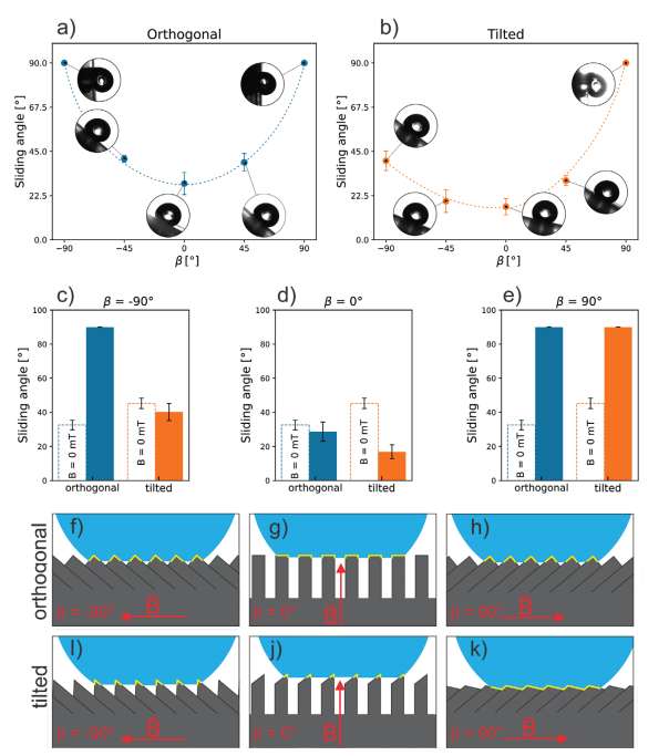 Variation of wettability and adhesion properties of magnetoresponsive lamellar surfaces